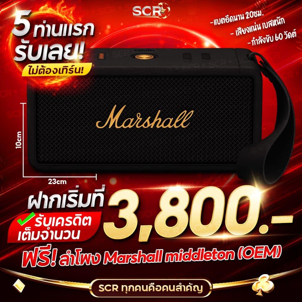 1. โบนัสฟรีสปิน