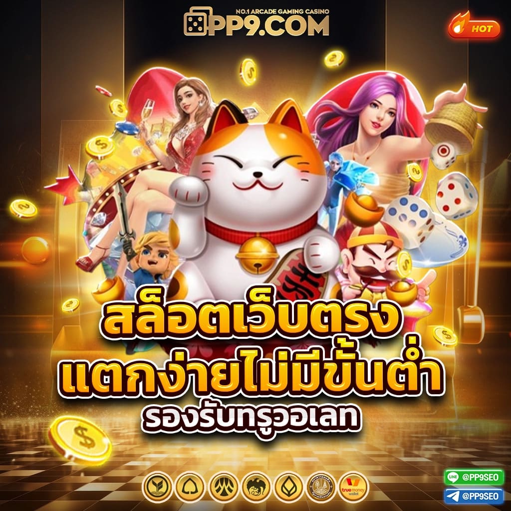 ฟีเจอร์พิเศษที่มีให้ใน mc333