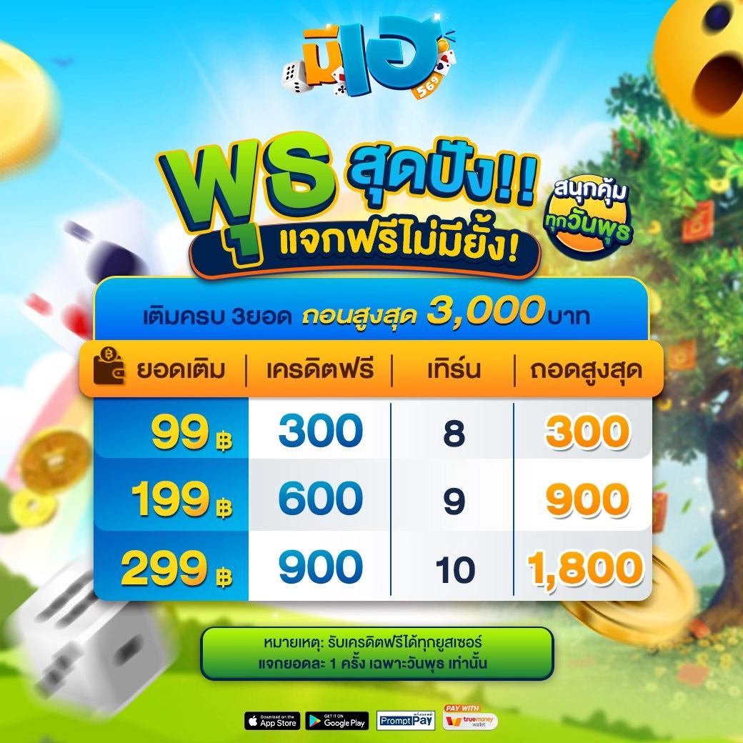 การสนับสนุนลูกค้า